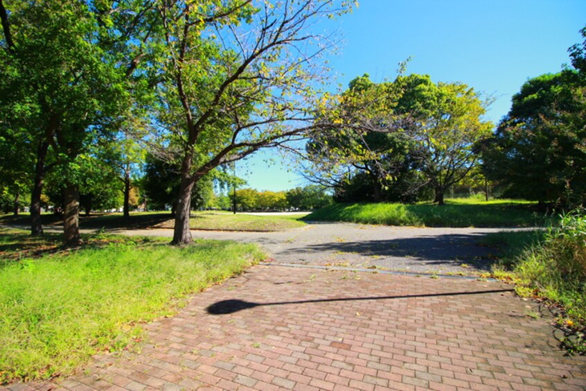 周辺環境 パ－クヴィラ五才美