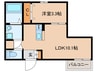 カーササクラーレ 1LDKの間取り