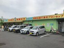 タチヤ旭前店(スーパー)まで1000m バンブーヒル