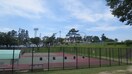 南公園(公園)まで950m ヒルズ緑丘