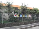 第一保育園(幼稚園/保育園)まで378m コンフォート寄京