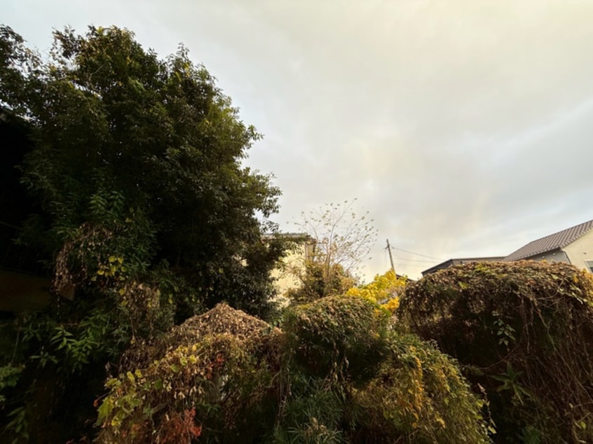 室内からの展望 Ｊａｃｋ　ｈｅｉｗａⅠ