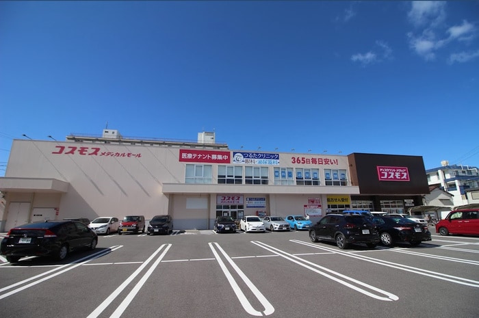 コスモス中丸店(ドラッグストア)まで80m グローリアス松山