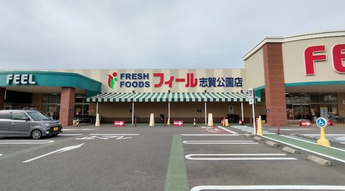 ﾌｨｰﾙ志賀公園店(スーパー)まで220m グローリアス松山