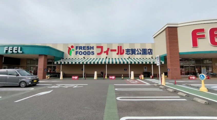 ﾌｨｰﾙ志賀公園店(スーパー)まで220m グローリアス松山