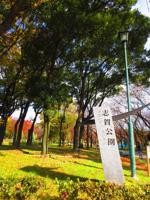 志賀公園(公園)まで283m グローリアス松山