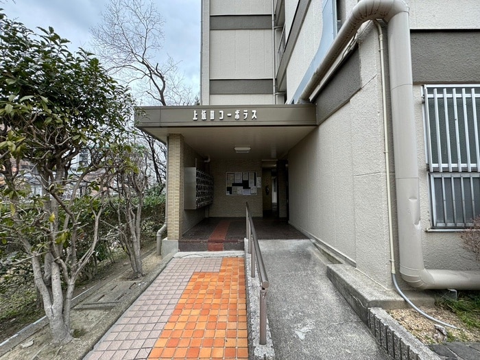 エントランス部分 上飯田コーポラス（205）