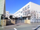 名古屋市立野田小学校(小学校)まで801m アネックス高畑