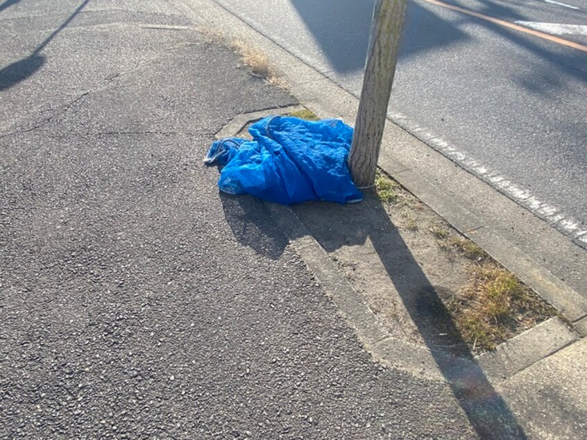 その他 Paradise Nobata