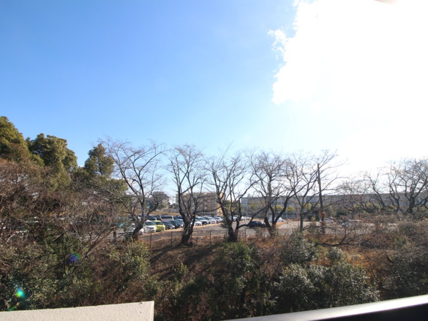 室内からの展望 Ｔｓ Ｍａｒｃｈｅｒ