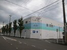 ドラッグスギヤマ住吉店(ドラッグストア)まで87m ドリ－ムシティ住吉Ｂ棟