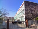 名古屋市立荒子小学校(小学校)まで872m Premier Residence Ⅱ