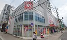 スギ薬局 今池東店(ドラッグストア)まで256m 野田ハイツ