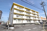 マンション大樹
