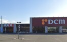 カーマホームセンター(電気量販店/ホームセンター)まで1300m ビッグランド　N