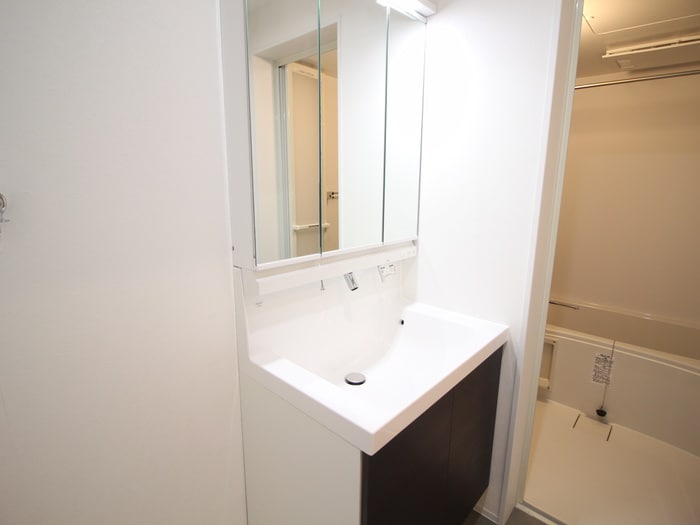 洗面 ヴィラ前之輪