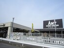 ホームセンターアント守山店(電気量販店/ホームセンター)まで160m ジュンパティー森宮