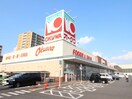 オークワ蟹江店(スーパー)まで475m アイリス蟹江