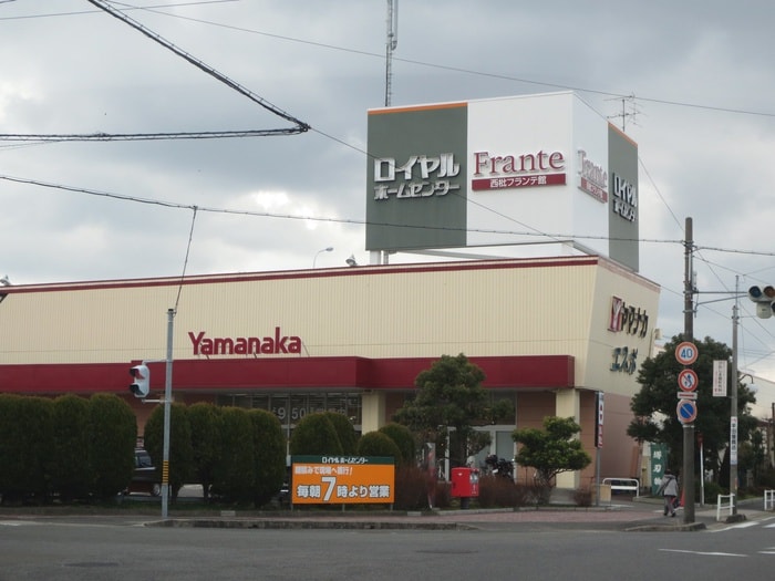 フランテ館(スーパー)まで380m Ｎｉｆｔｙ