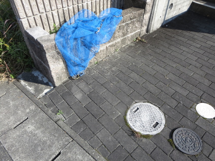 その他 エスブル－ム・アイ