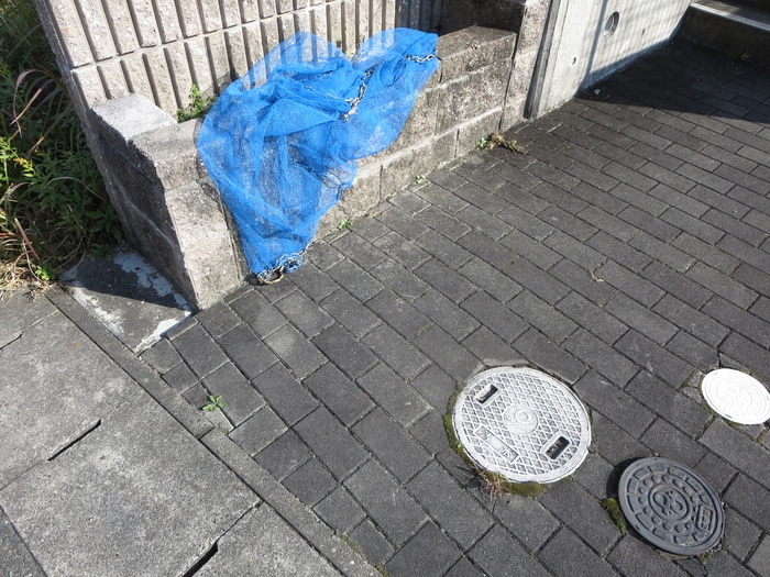 その他 エスブル－ム・アイ