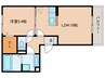 ソラーレ 1LDKの間取り
