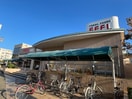 フィール(スーパー)まで619m ＣＥＲＩＳＩＥＲ・Ｆ