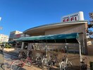 フィール(スーパー)まで619m ＣＥＲＩＳＩＥＲ・Ｆ