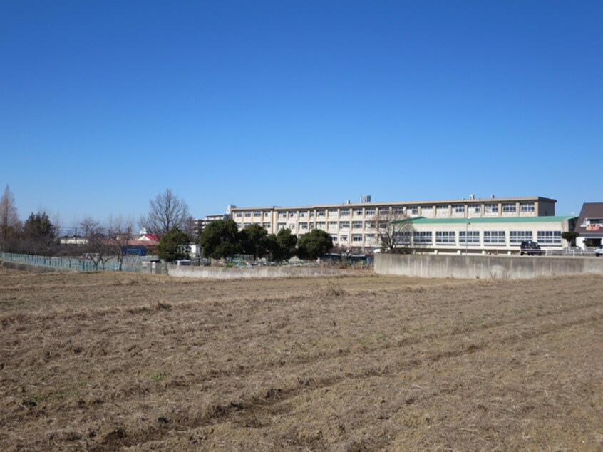 若林東小学校(小学校)まで1000m パラシオン　ピア