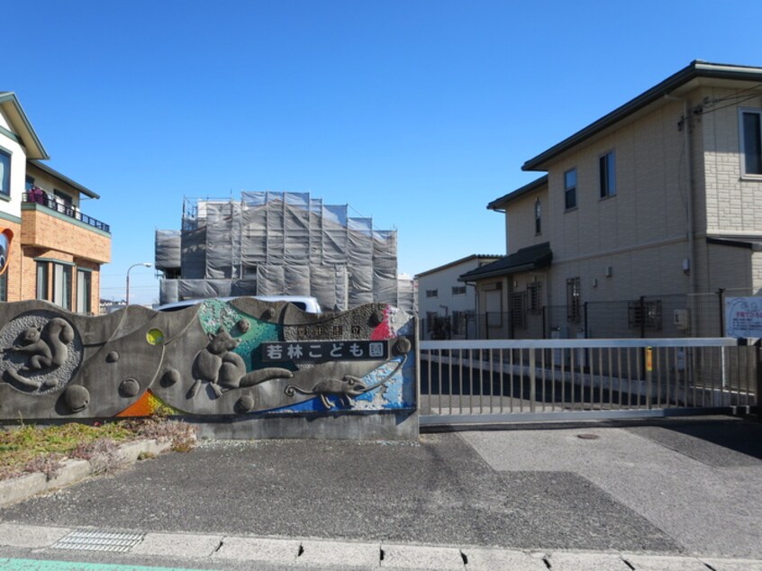 若林こども園(幼稚園/保育園)まで1100m パラシオン　ピア