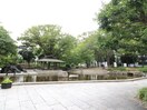 下園公園(公園)まで260m スタービル