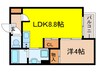 citywalk金山 1LDKの間取り