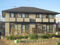 ソシア・アイリス