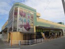 生鮮館やまひこ 岩倉店(スーパー)まで500m 岩倉市南新町戸建賃貸