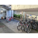 駐輪場 サザンコート