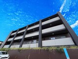 ミコノス亀が洞