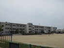 五条川小学校(小学校)まで265m Ｓｕｒｐｌｕｓ丹羽II