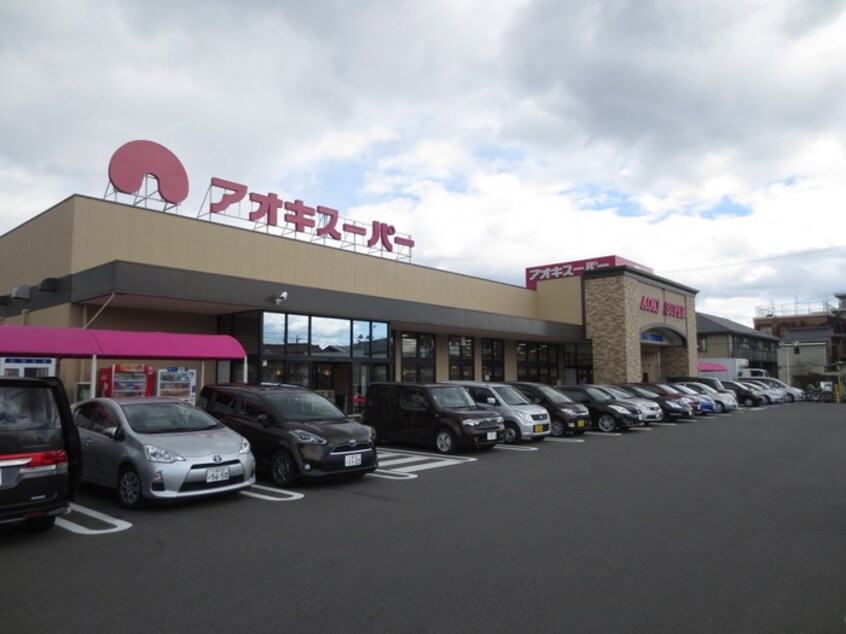アオキスーパー(スーパー)まで300m グリーンハイツ