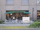スターバックス(カフェ)まで300m プレサンス錦ラウム(1503)