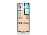 Ｓ＆Ｆ　Ｍａｎｓｉｏｎ 1Rの間取り