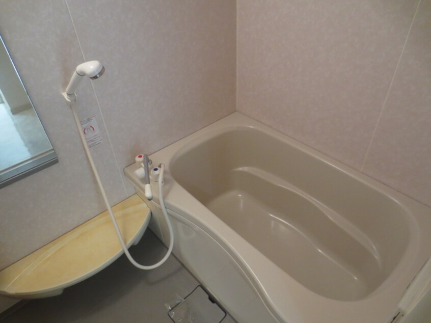 バス／シャワールーム等 パラシオン・サン鳥見