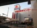 ヤマダ電機(電気量販店/ホームセンター)まで306m パラシオン・サン鳥見