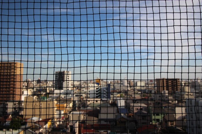 室内からの展望 フラット12