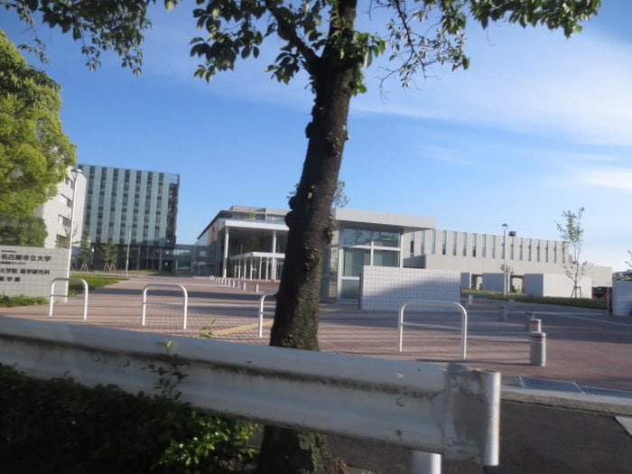 名古屋市立大学田辺通キャンパス(大学/短大/専門学校)まで1250m マ・メゾン藤成