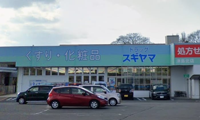 ドラッグスギヤマ(ドラッグストア)まで600m LECOCON津島Ⅳ