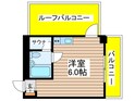 ｱｷｭﾗﾊﾟ-ｸｻｲﾄﾞ須賀町（５０７）の間取図
