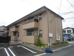 アンセスター桜