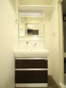 洗面 セイワパレス丸の内駅前