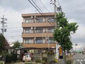 完成写真