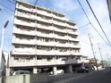 完成写真